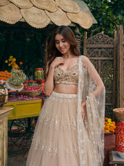 Asteria Gold