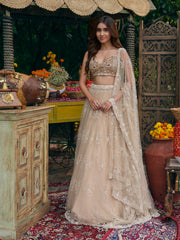 Asteria Gold