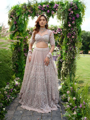 PINK  MAHARANI