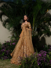 ROYAL MIDAS